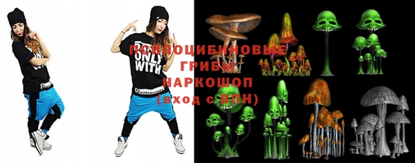 мет Няндома