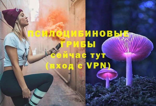 сатива Алексеевка