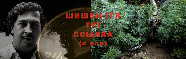 мет Няндома