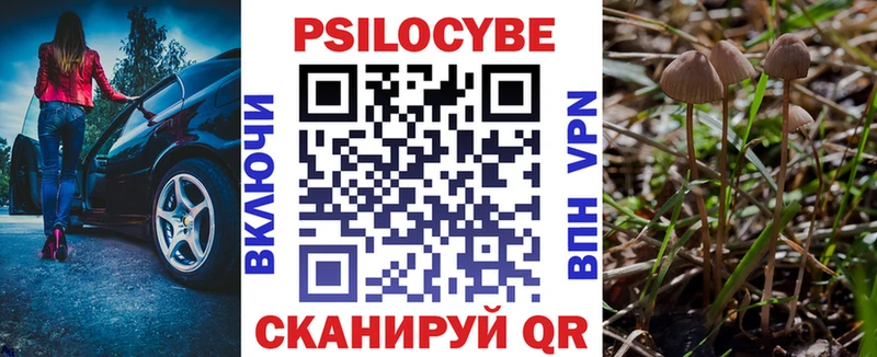 купить   blacksprut зеркало  Псилоцибиновые грибы Psilocybine cubensis  Березники 