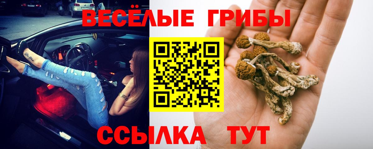 Псилоцибиновые грибы мицелий  Вход с VPN  Березники 