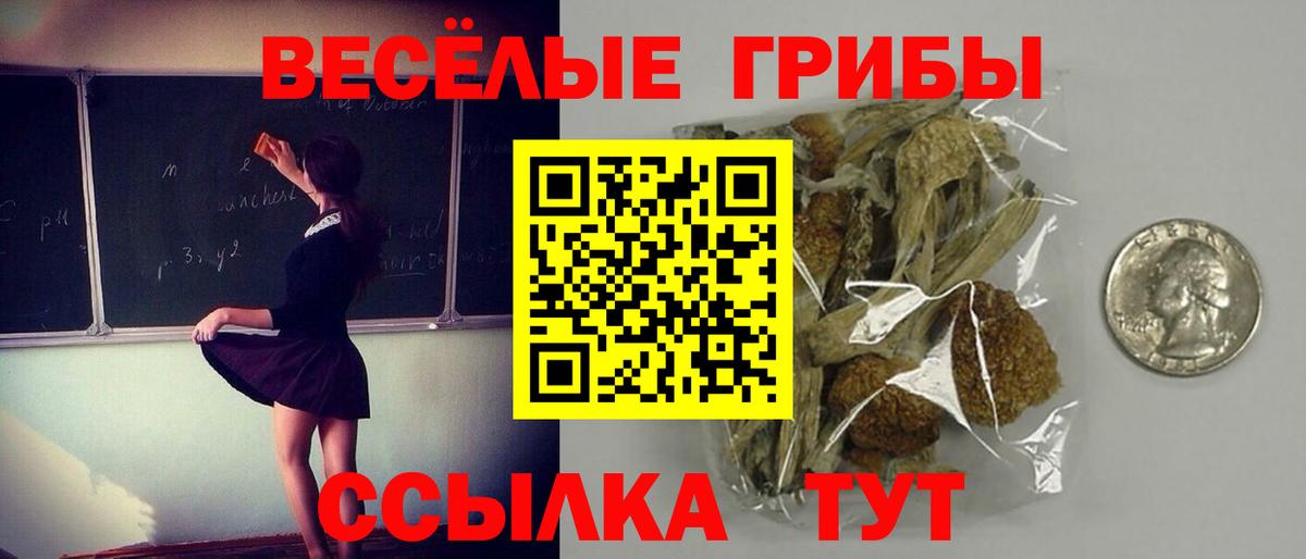Псилоцибиновые грибы MAGIC MUSHROOMS Березники